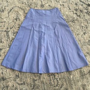 Express Dress Skirt